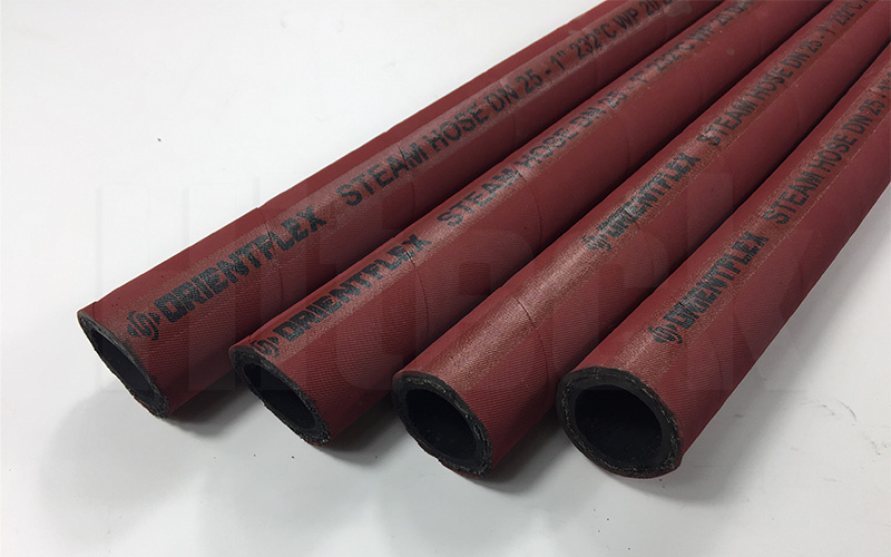 steam hose
